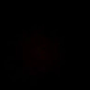 Meet your Posher, Malka